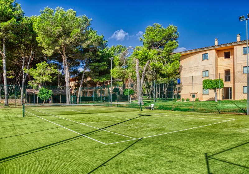 Beispiel: Sport & Fitness