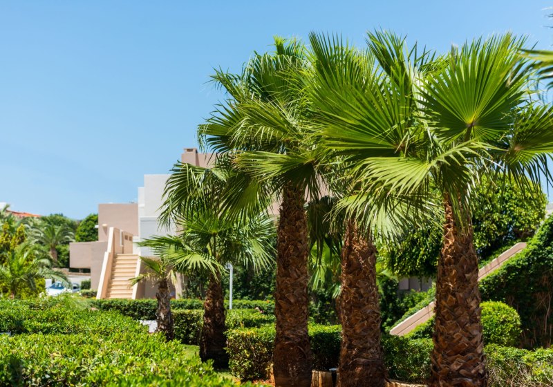 Ausstattung & Service