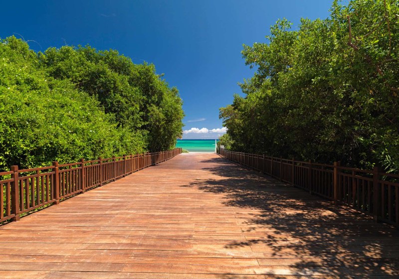 Paradisus Playa del Carmen