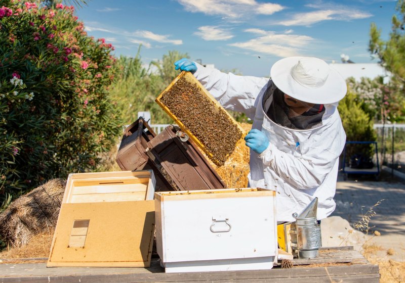 Ausstattung & Service