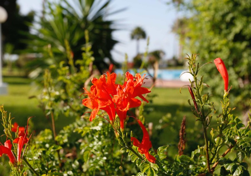 Ausstattung & Service