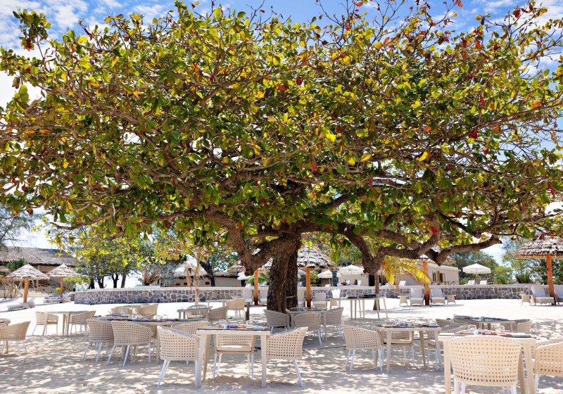 Kulinarik & Restaurants