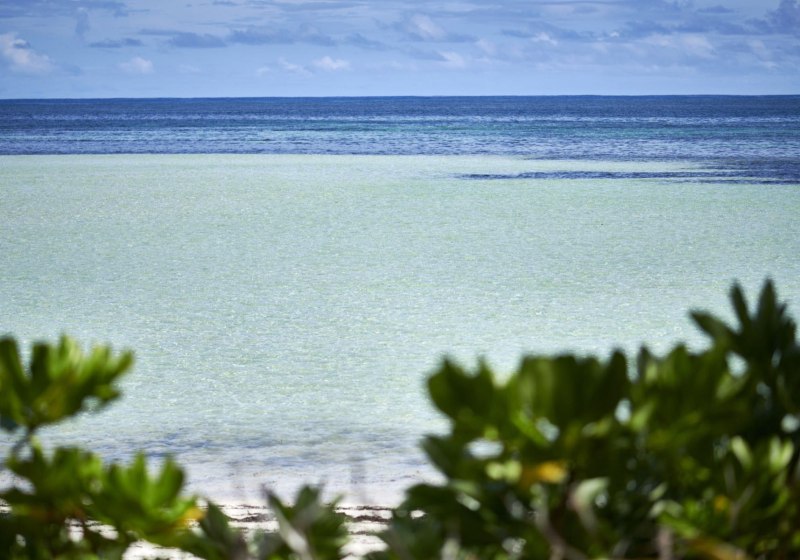 Canopy by Hilton Seychelles
