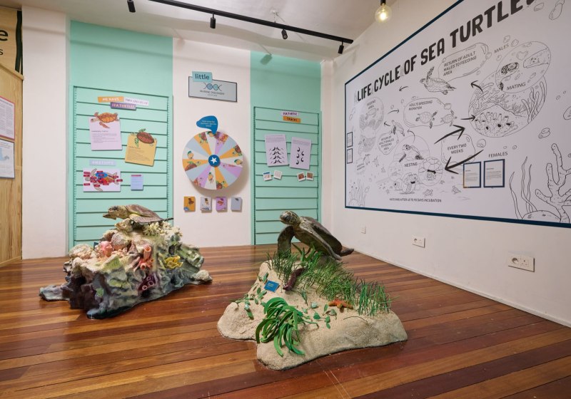 The Ravenala attitude