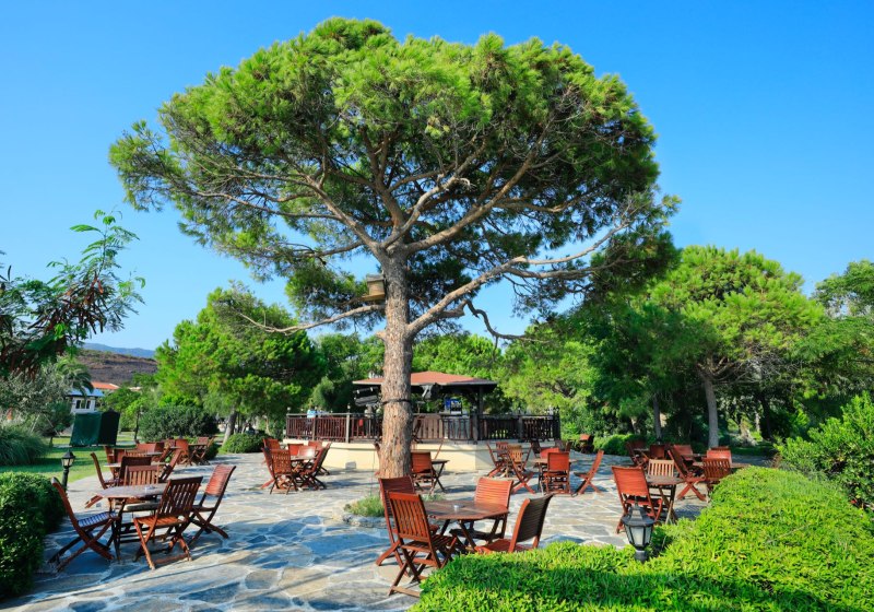 Ausstattung & Service