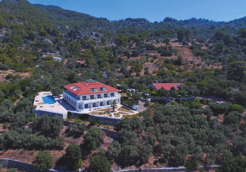 Falcon Crest
