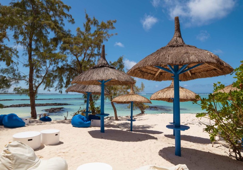 SALT of Palmar-Adults Only