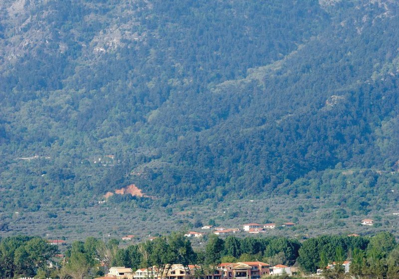 Alexandra Golden Boutique