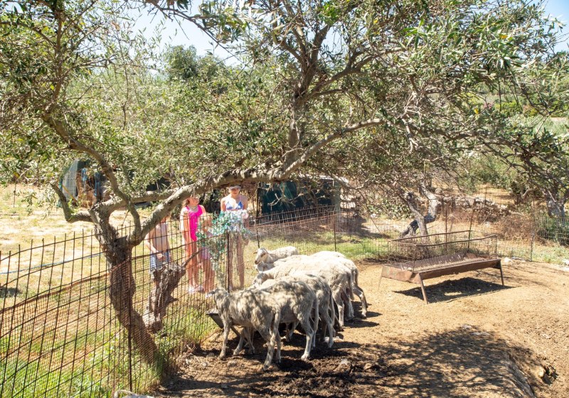 Almyrida Village & Waterpark