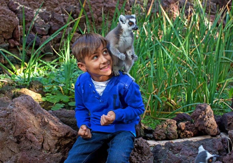 IFA Altamarena by Lopesan Hotels