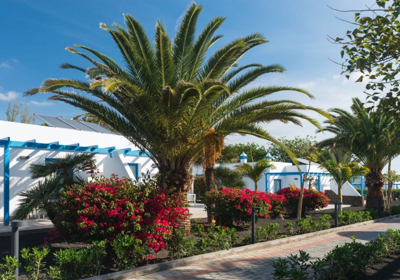 Beispiel: Ausstattung & Service