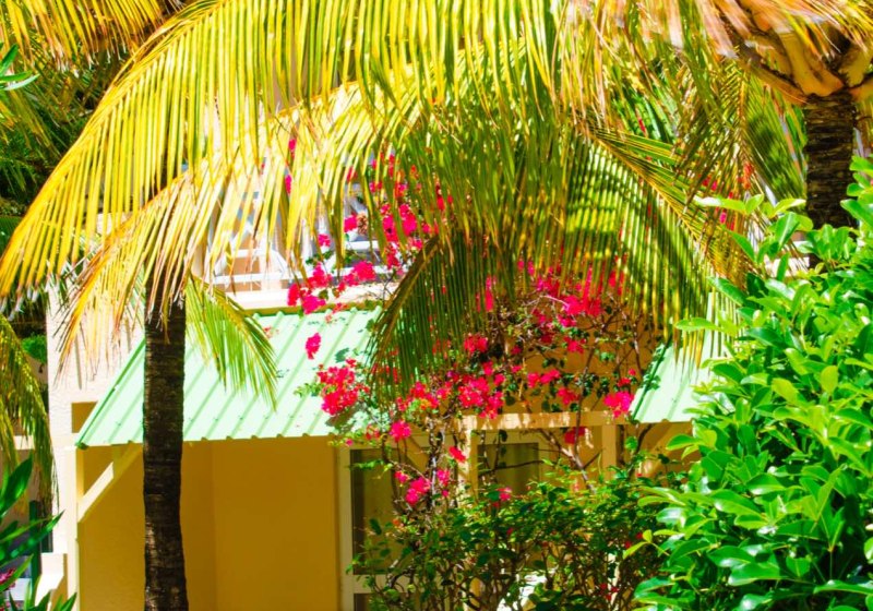 Ausstattung & Service