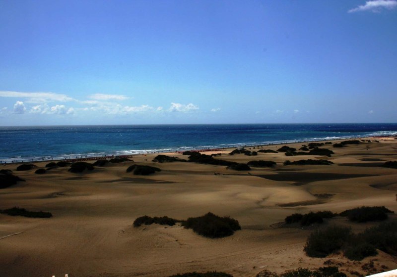 Don Gregorio Studios