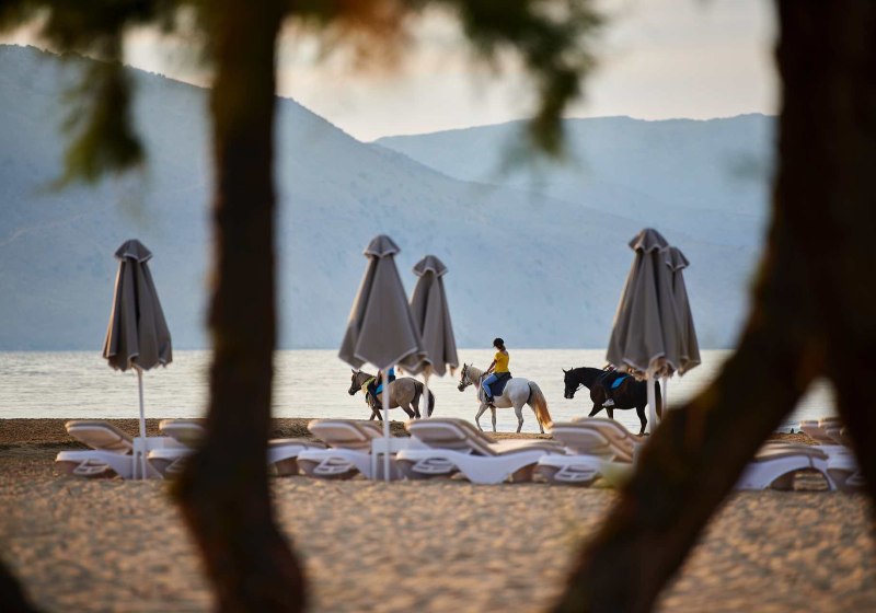 Ausstattung & Service