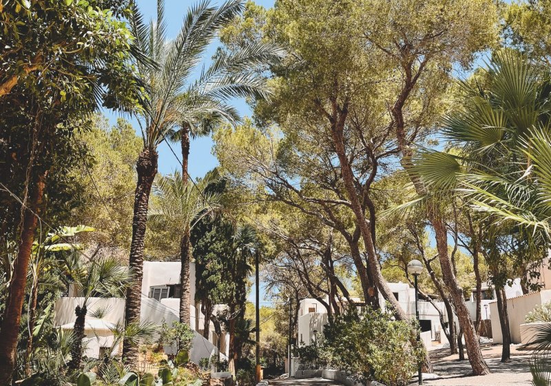 Ausstattung & Service