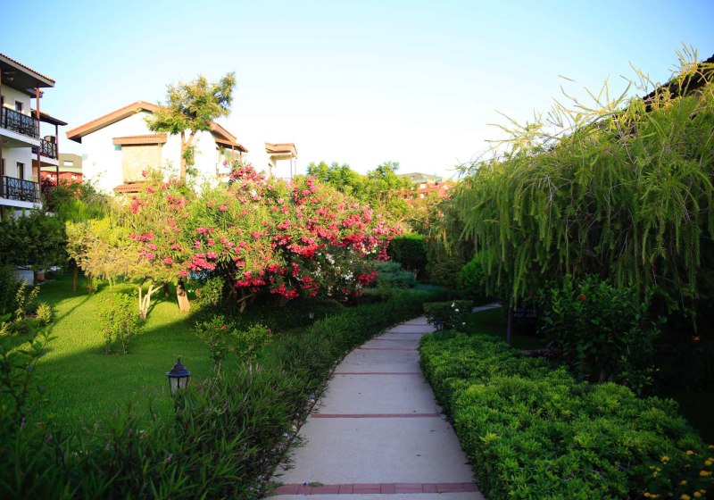 Ausstattung & Service