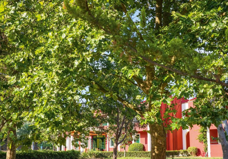 Ausstattung & Service