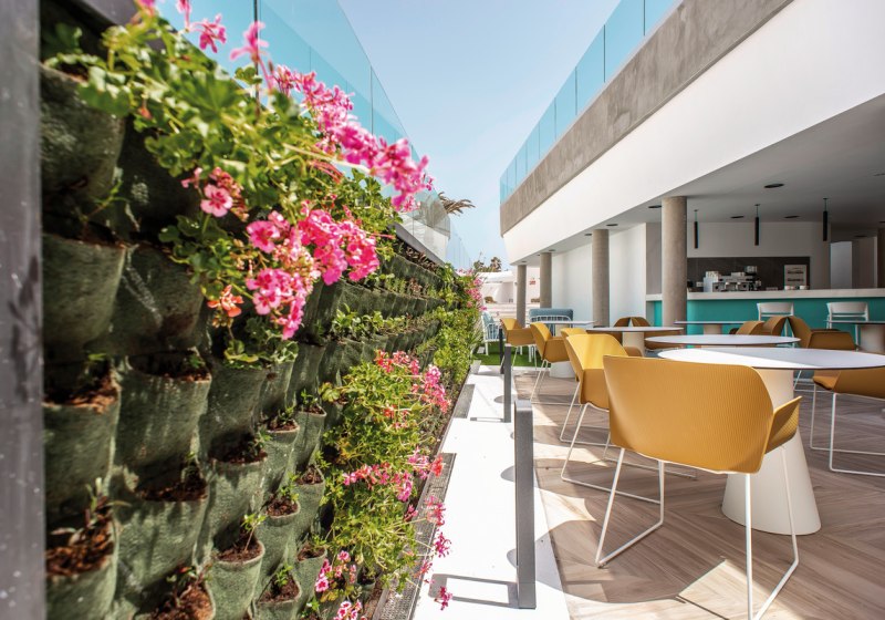 Kulinarik & Restaurants