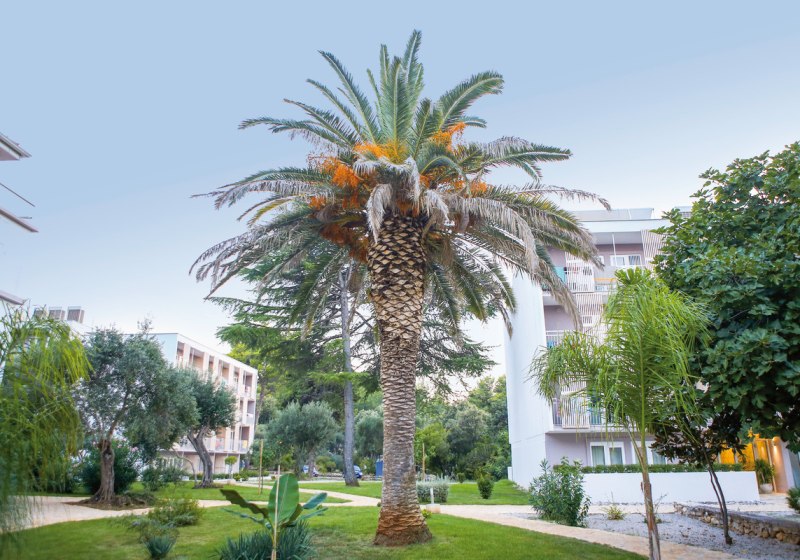 Aussenaufnahme Hotel