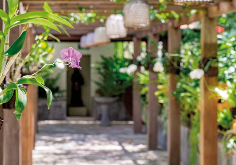 Kulinarik & Restaurants