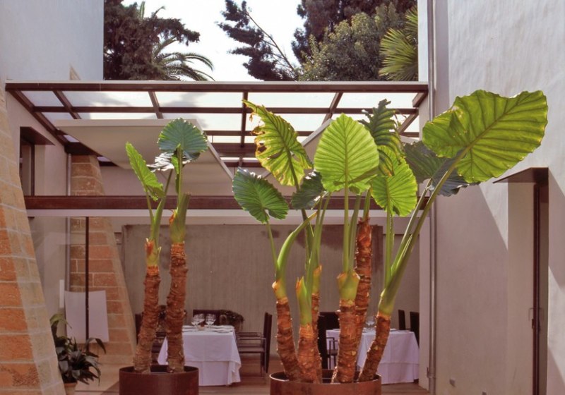 Aussenaufnahme Hotel