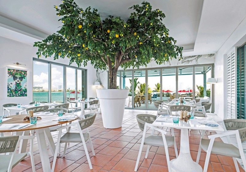 Kulinarik & Restaurants