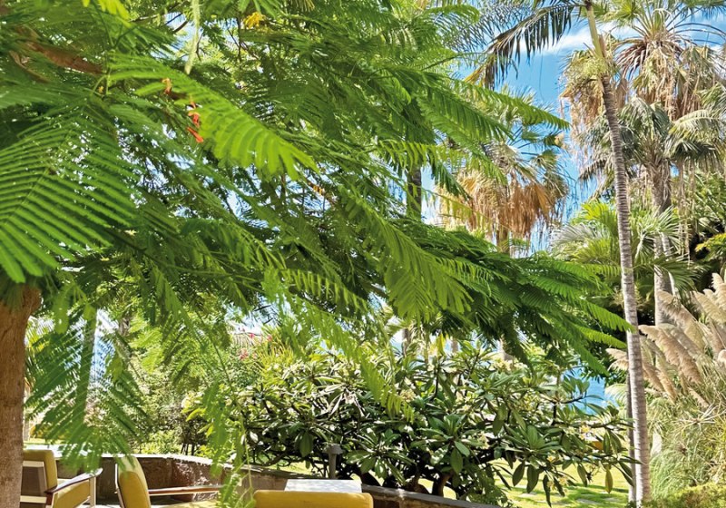 Kulinarik & Restaurants