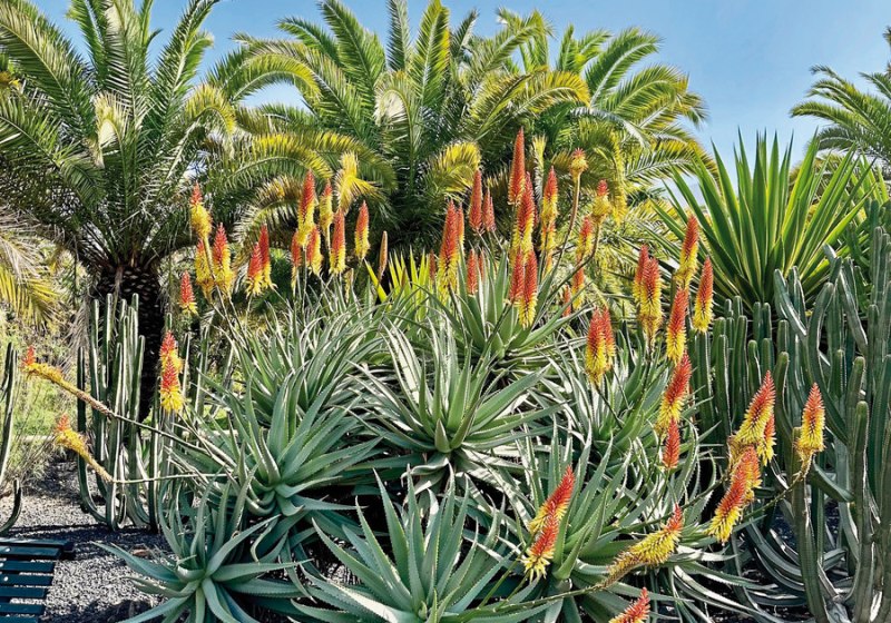 Kulinarik & Restaurants