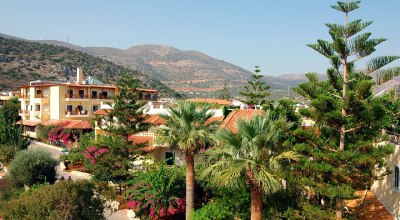calathea pink fusion Calathea Plants:Beauty Star, Concinna, Elliptica, Herringbone Plant,  Makoyana, MEDALLION, Rattlsnake Plant, Roseopicta, Triostar Stromanthe,  Yellow Fusion, Zebrina. – Lixin Florist 丽馨花店 main image 0